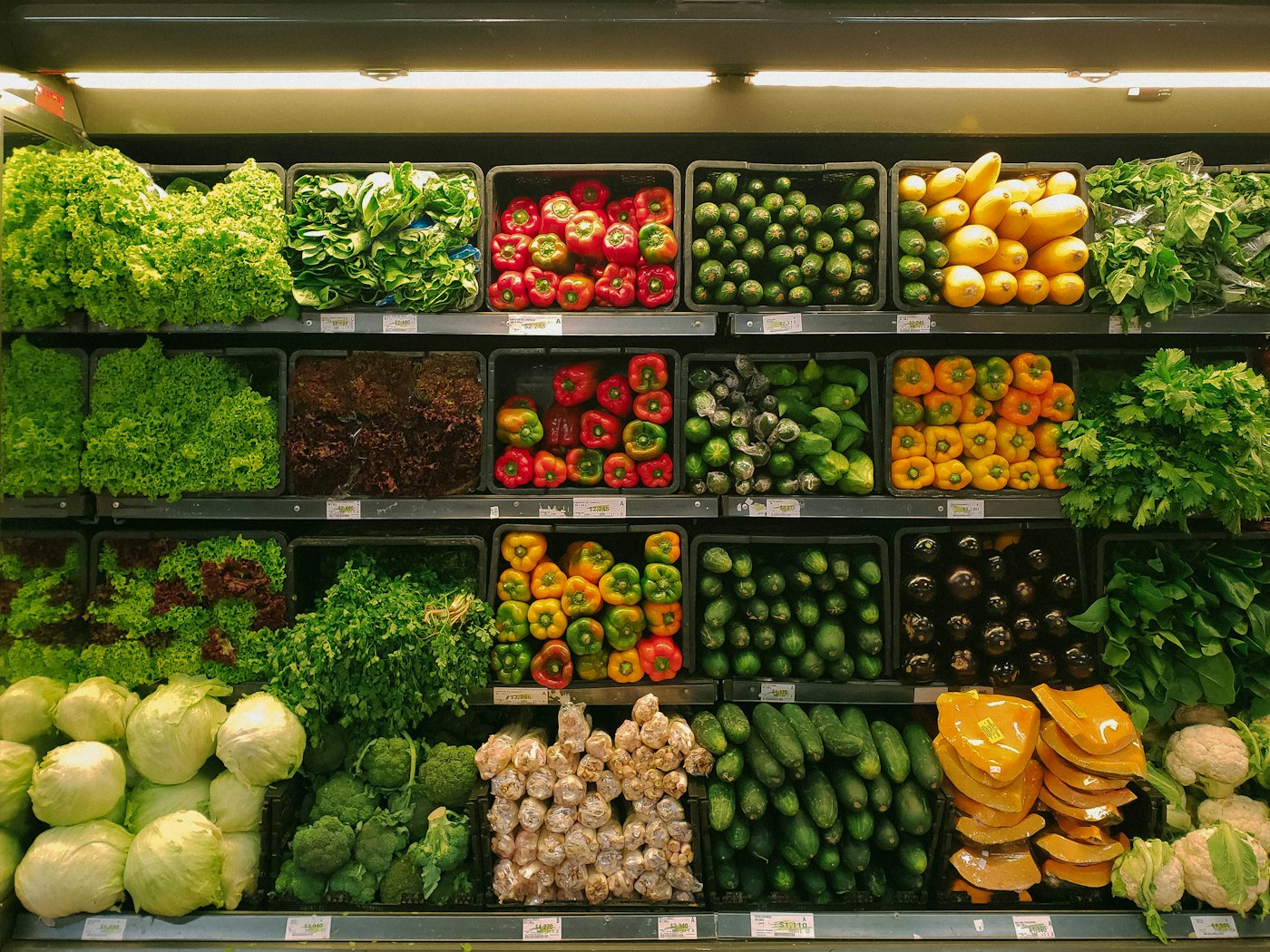 Fresh vegetables prepared for commercial cutting and dicing equipment