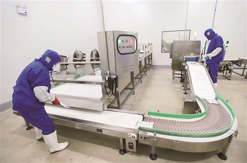 Temperature Monitoring and HACCP Data Logging Systems for Food Processing: Sensor Placement, Validation Intervals, and Compliance