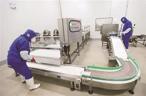 Temperature Monitoring and HACCP Data Logging Systems for Food Processing: Sensor Placement, Validation Intervals, and Compliance