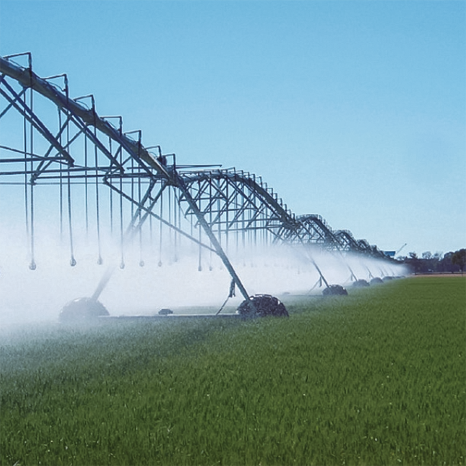 Center Pivot Irrigation System with Up to 800m Coverage for Large-Scale Farms