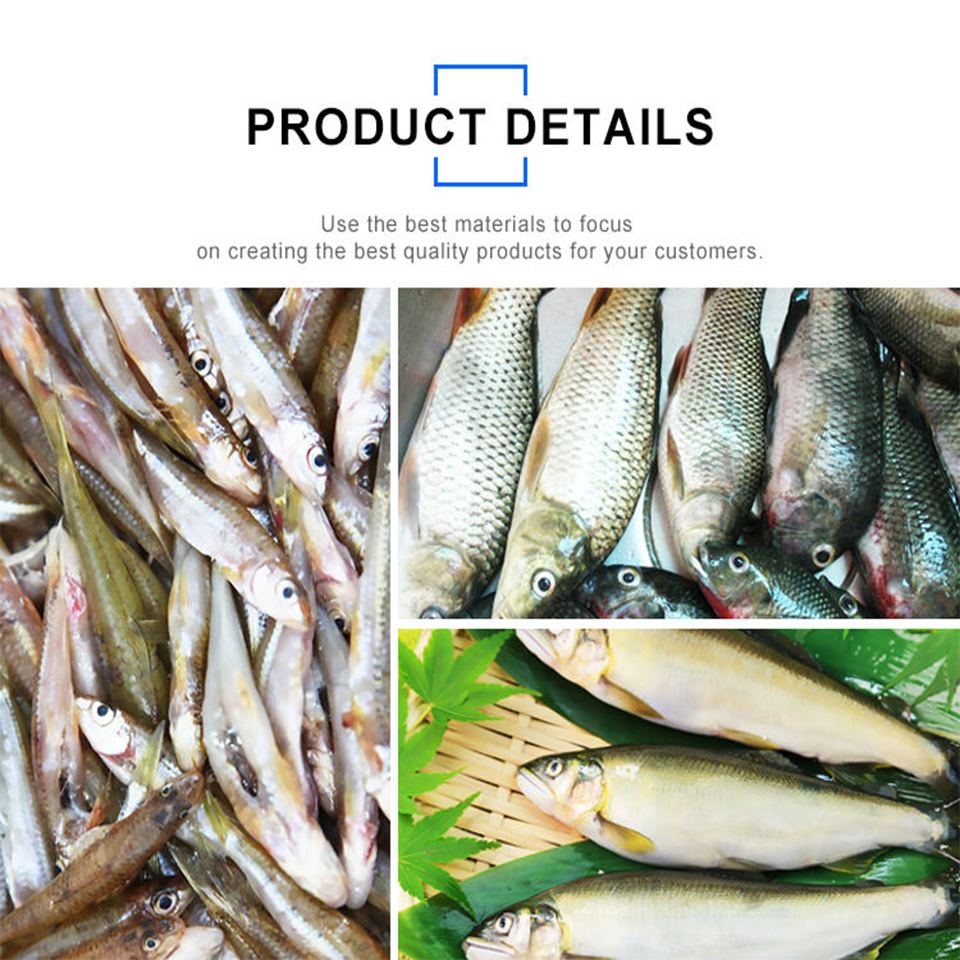 Commercial Horizontal Fish Cleaning Machine Stainless Steel 220V