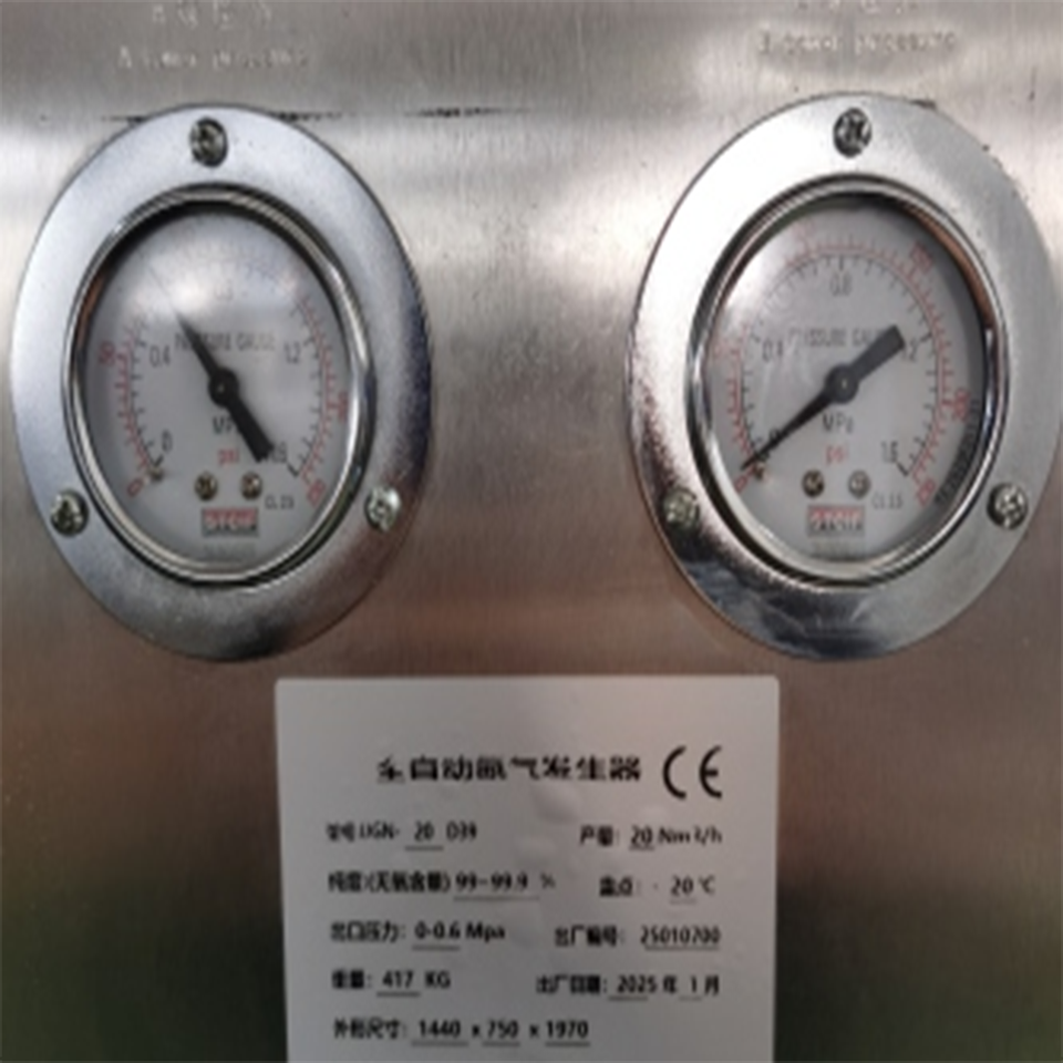 UGN-DE 3DE Nitrogen Generator 3Nm³/h Food Grade On-Site Use