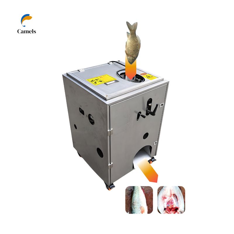 FK-500 Fish Killing Machine Stainless Steel High-Efficiency 500pcs/h Seafood Processor